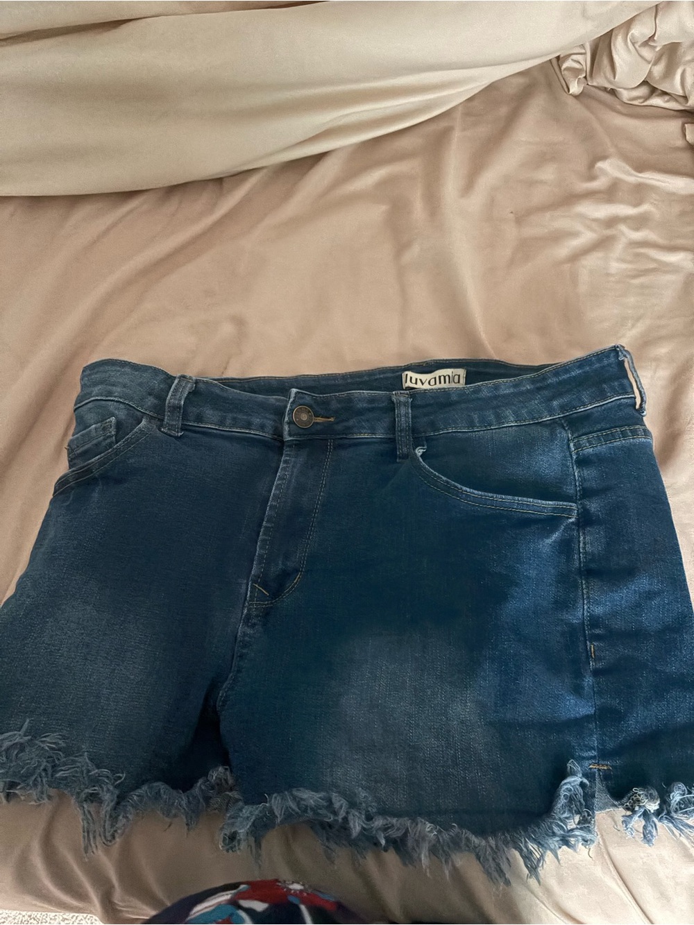 Luvamia shorts! Size large —cute